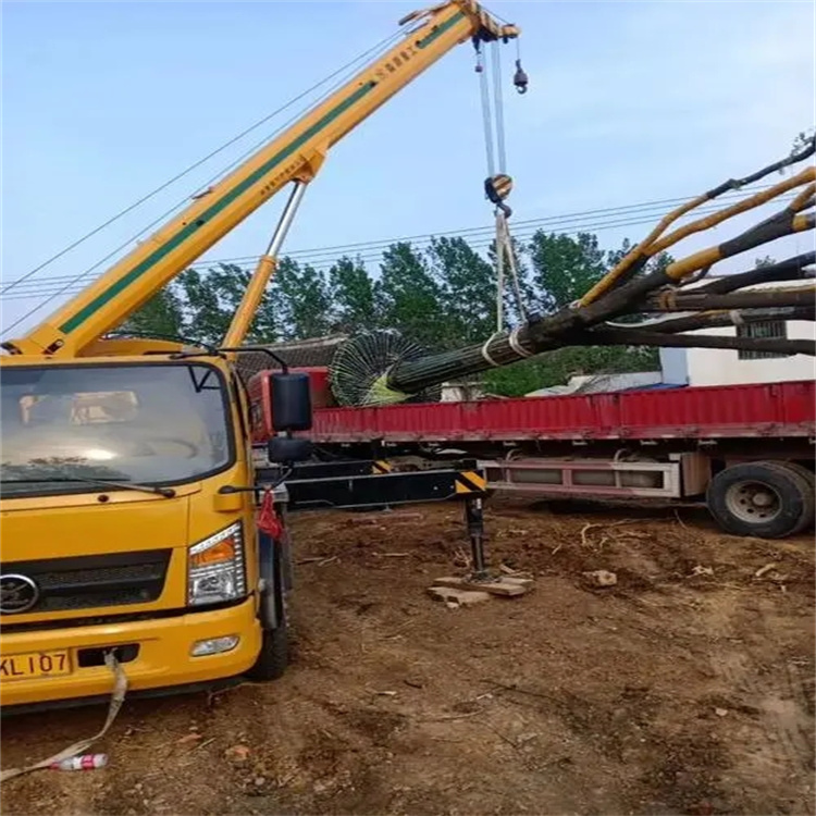 熊口镇100吨吊车租赁费用怎么算？3大关键因素+省钱技巧全解析